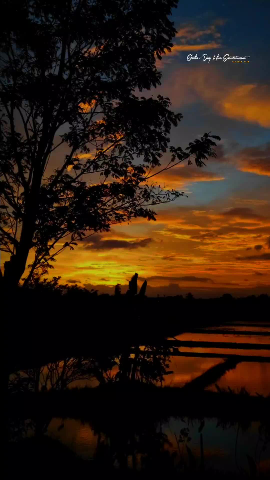 Đêm Gánh Hào Nghe Điệu Hoài Lang